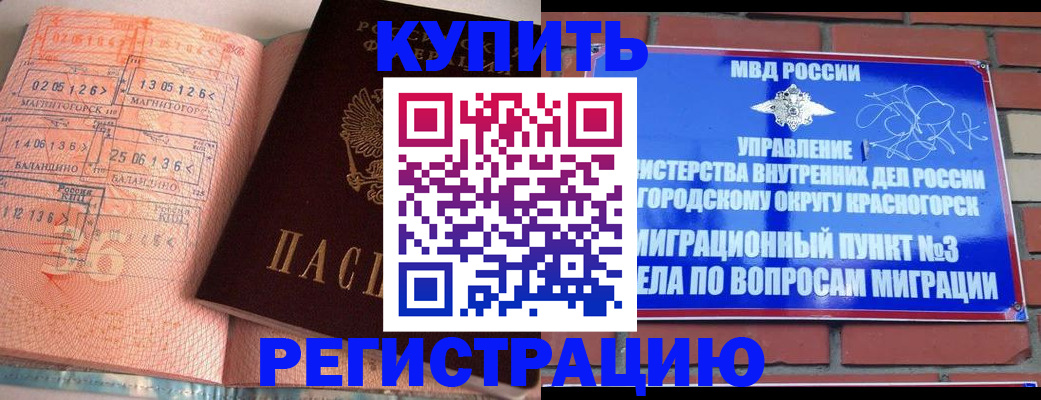 прописка 2025 в Ногинске